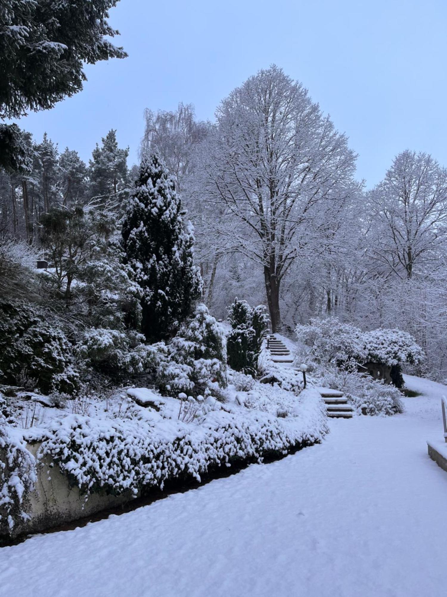 Haus Am Wald Hotel Eltmann Buitenkant foto